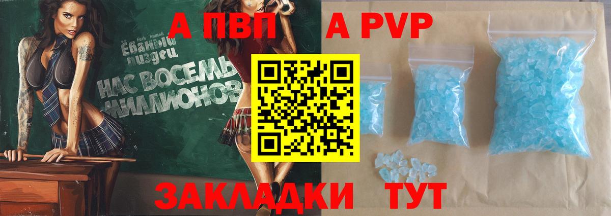 A-PVP СК КРИС Тобольск