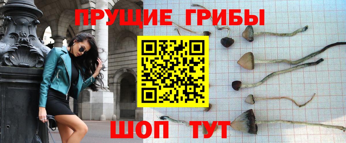 Псилоцибиновые грибы MAGIC MUSHROOMS Тобольск