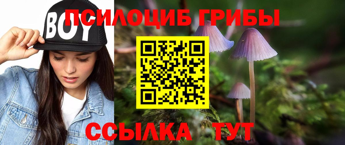 Тобольск  Псилоцибиновые грибы Psilocybe  Вход с VPN 